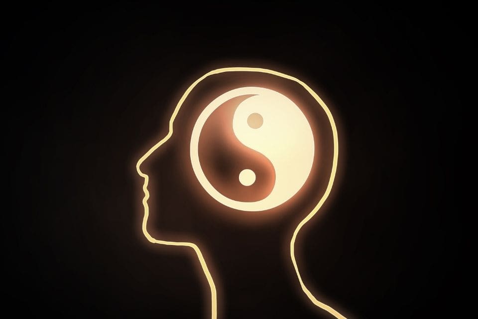 yin yang aki acupunctuur